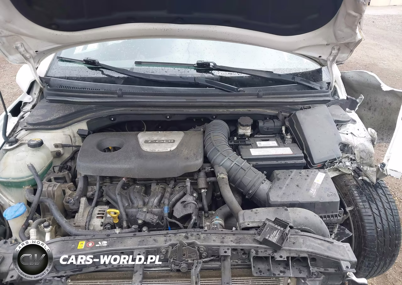 2017 Hyundai Elantra Sport VIN:KMHD04LB4HU345716 - 10