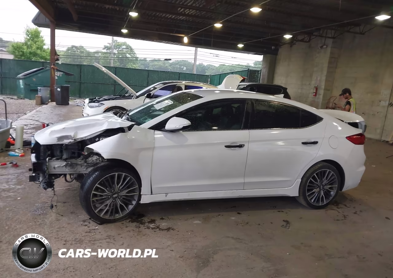 2017 Hyundai Elantra Sport VIN:KMHD04LB4HU345716 - 15