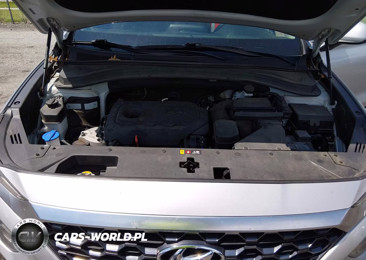 2019 Hyundai Santa Fe Se VIN:5NMS23AD2KH049709 - 10