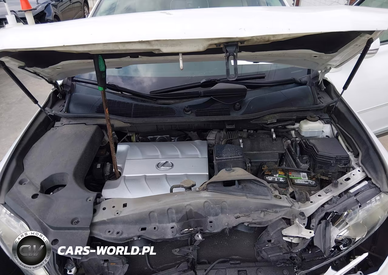 2010 Lexus Rx 350 VIN:2T2ZK1BA0AC014917 - 10