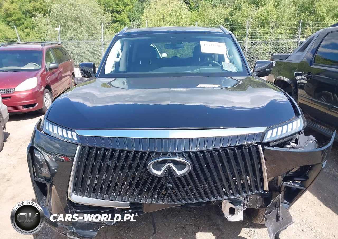 2025 Infiniti Qx80 Pure Awd VIN:JN8AZ3AB8S9404789 - 12