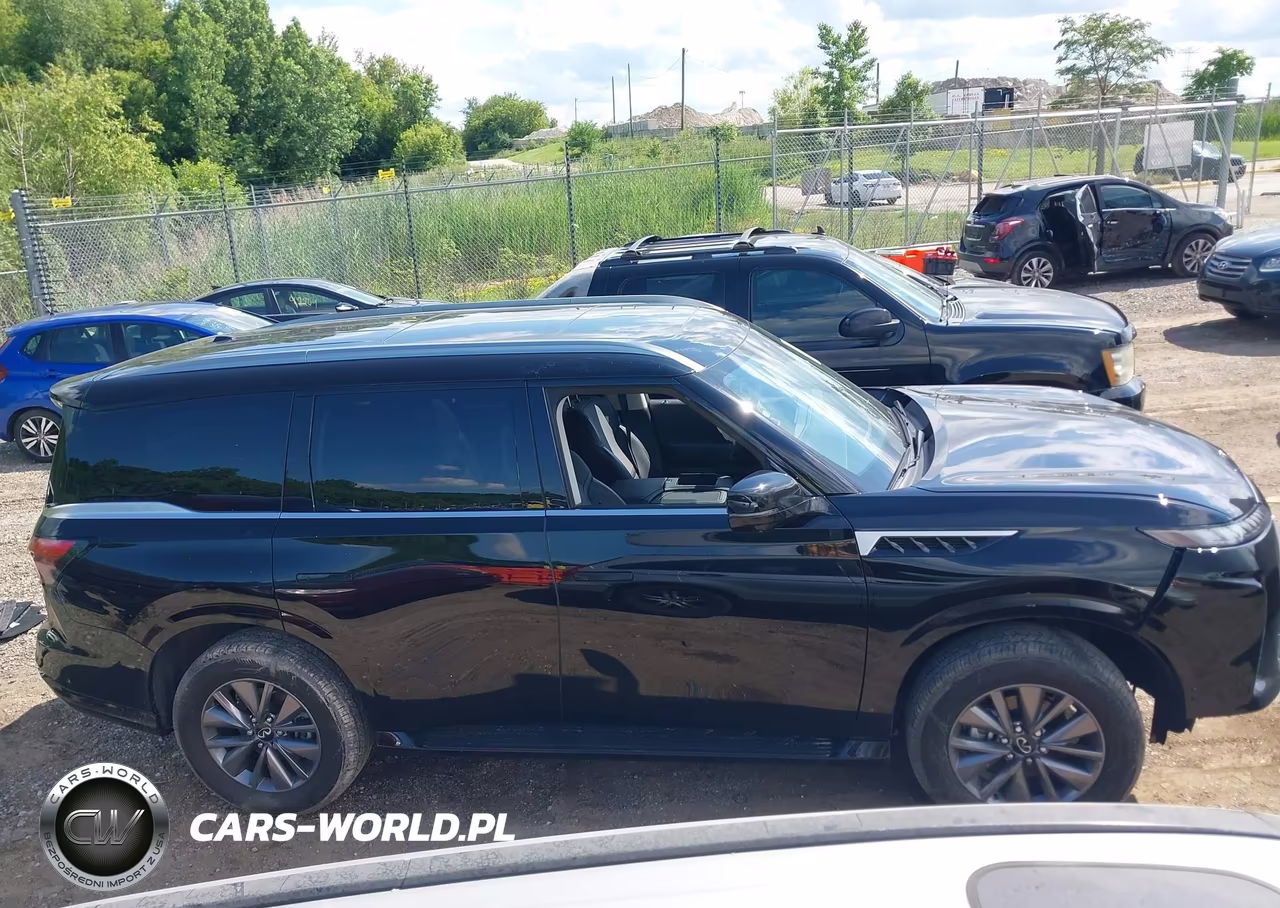 2025 Infiniti Qx80 Pure Awd VIN:JN8AZ3AB8S9404789 - 13