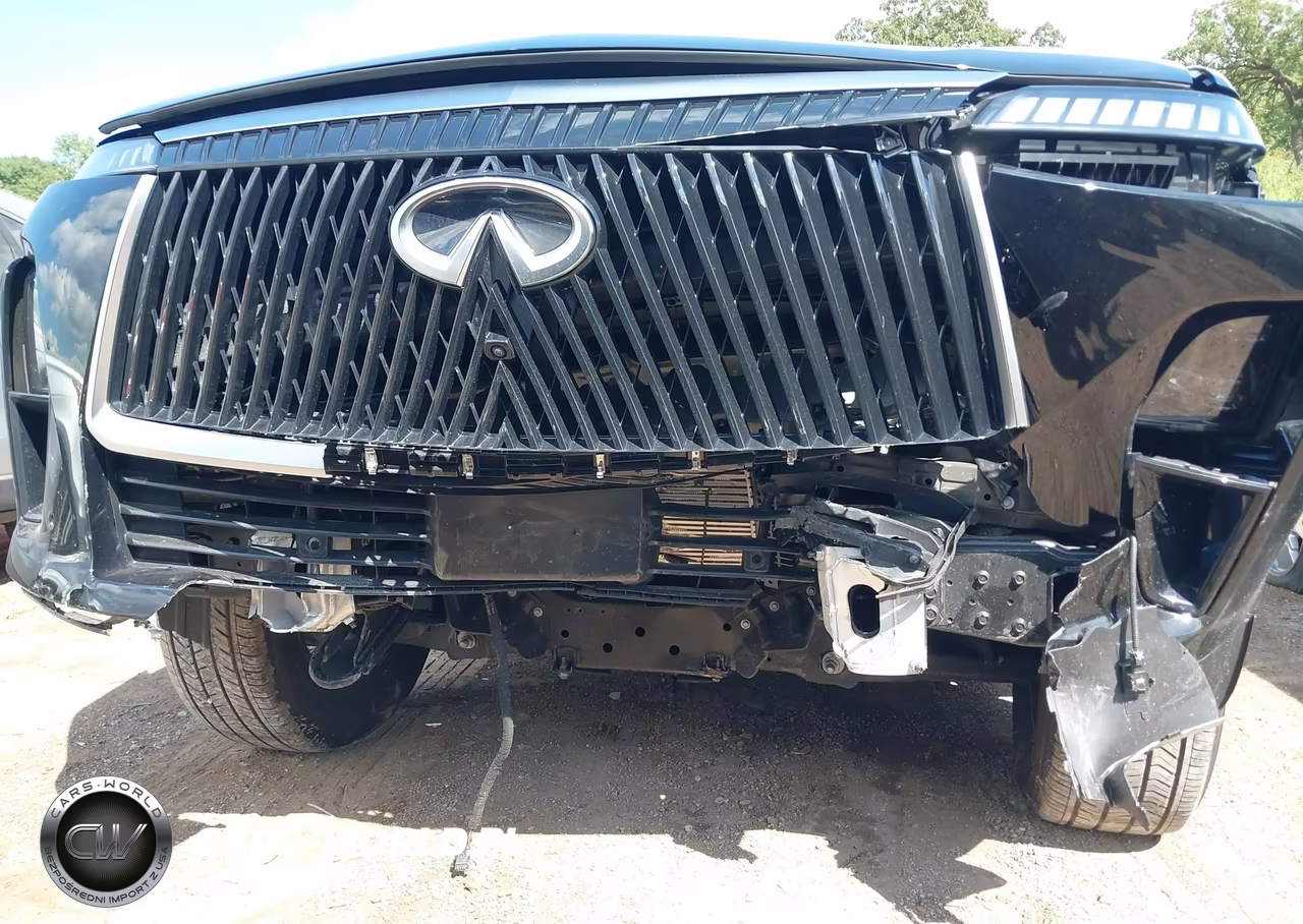2025 Infiniti Qx80 Pure Awd VIN:JN8AZ3AB8S9404789 - 6