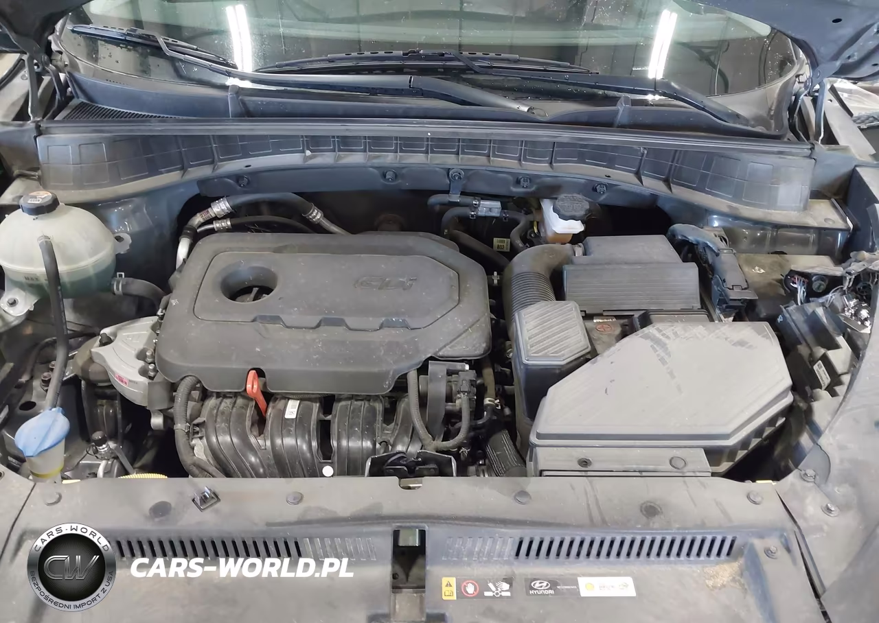 2019 Hyundai Tucson Ultimate VIN:KM8J3CAL3KU013743 - 10