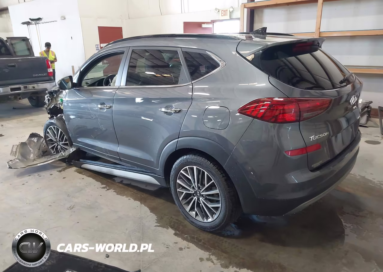2019 Hyundai Tucson Ultimate VIN:KM8J3CAL3KU013743 - 3