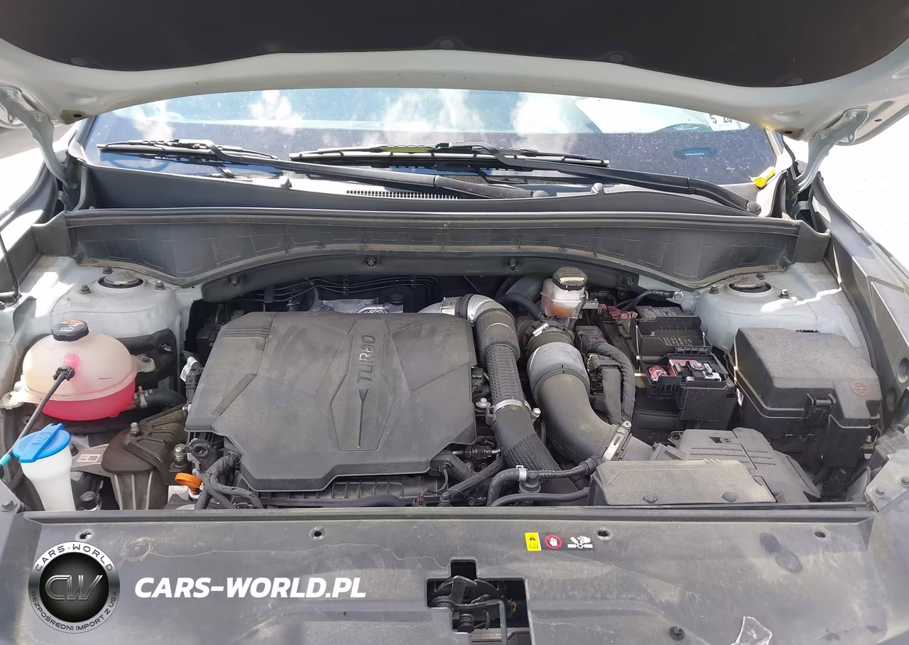 2023 Kia Sorento Sx VIN:5XYRKDLF2PG196102 - 10