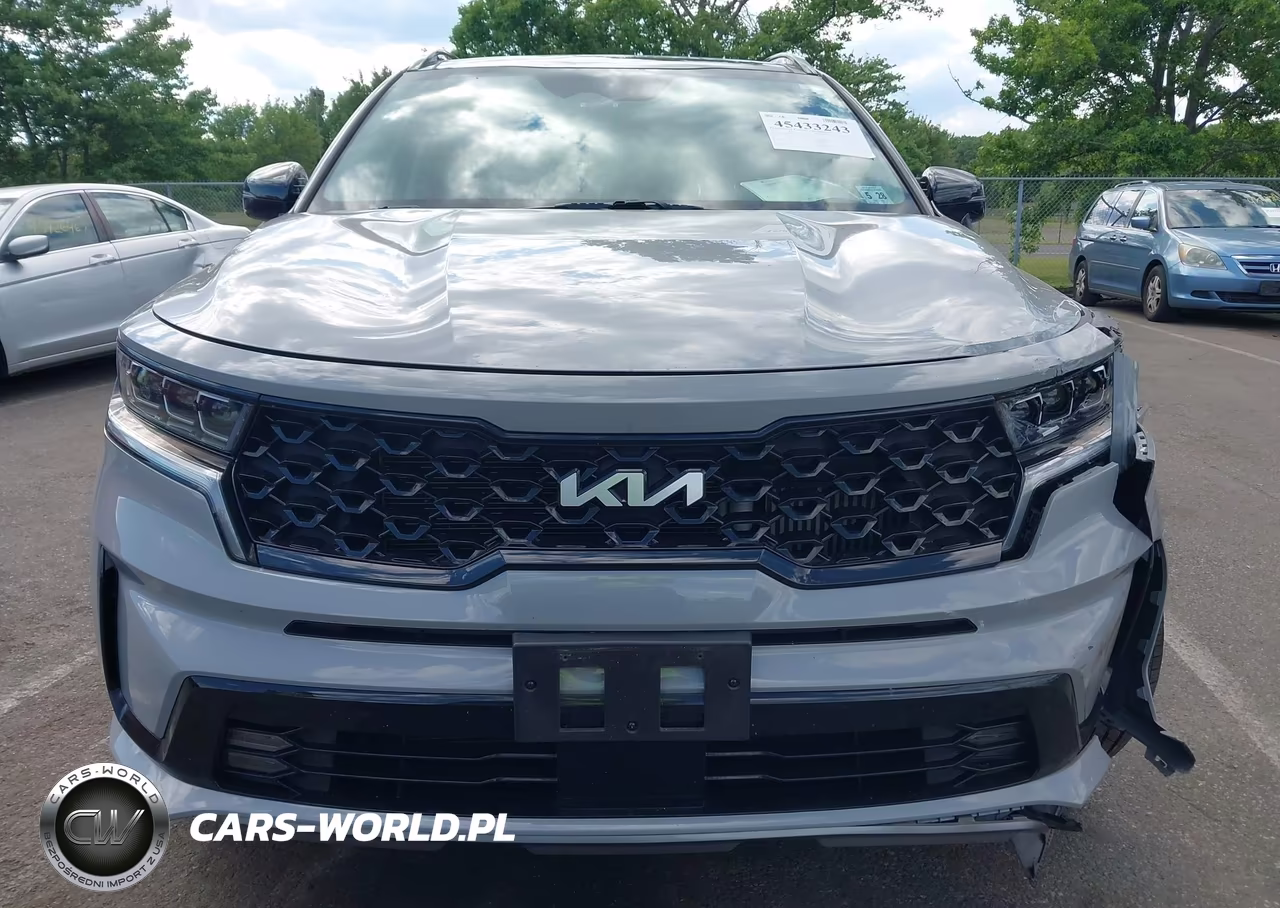 2023 Kia Sorento Sx VIN:5XYRKDLF2PG196102 - 12