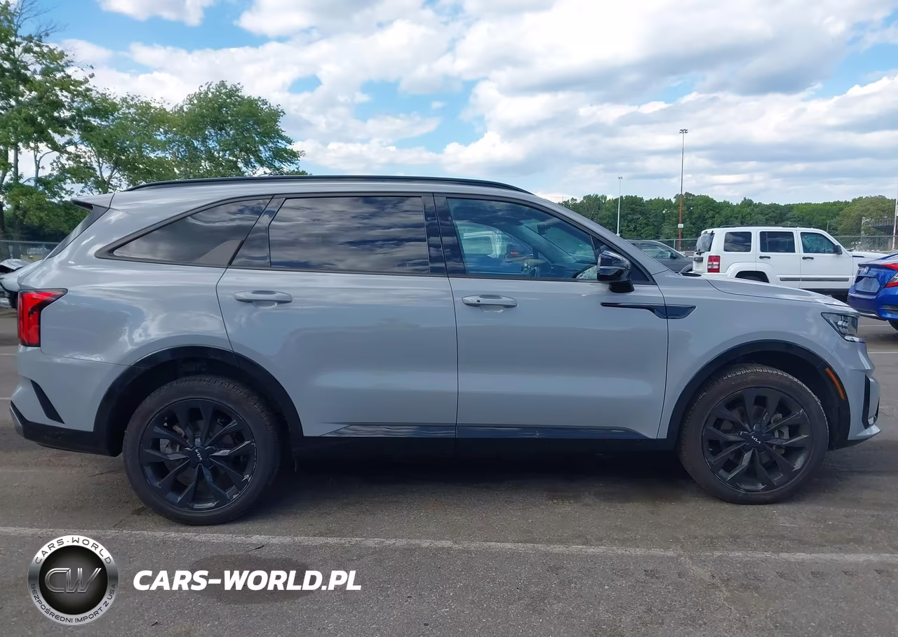 2023 Kia Sorento Sx VIN:5XYRKDLF2PG196102 - 13