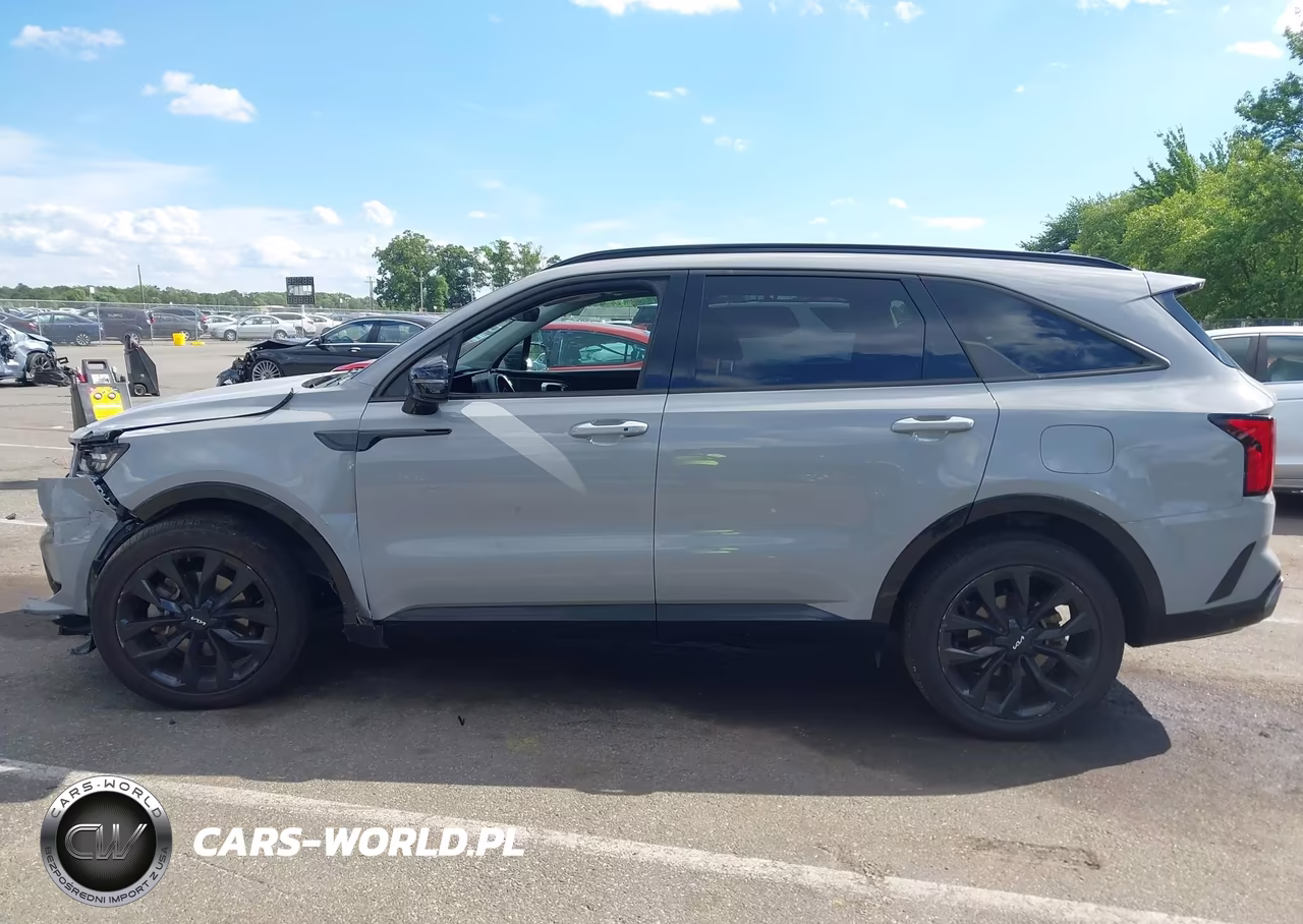 2023 Kia Sorento Sx VIN:5XYRKDLF2PG196102 - 14