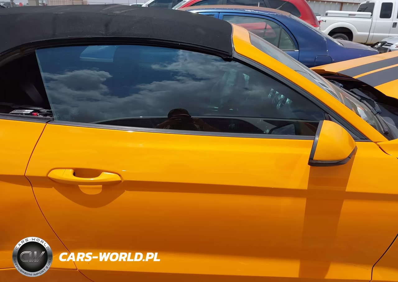 2019 Ford Mustang Ecoboost Premium VIN:1FATP8UH7K5150125 - 12
