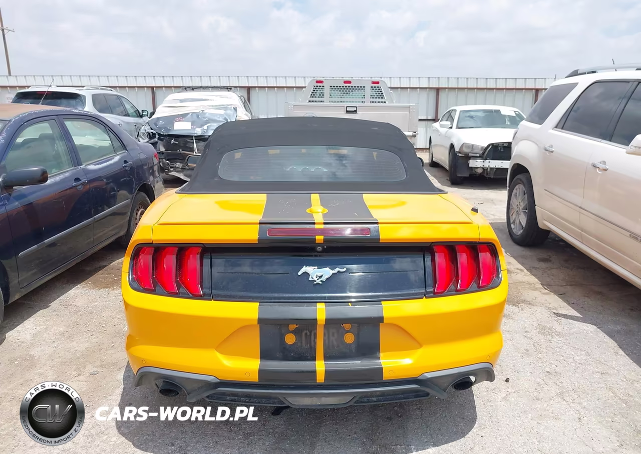 2019 Ford Mustang Ecoboost Premium VIN:1FATP8UH7K5150125 - 15