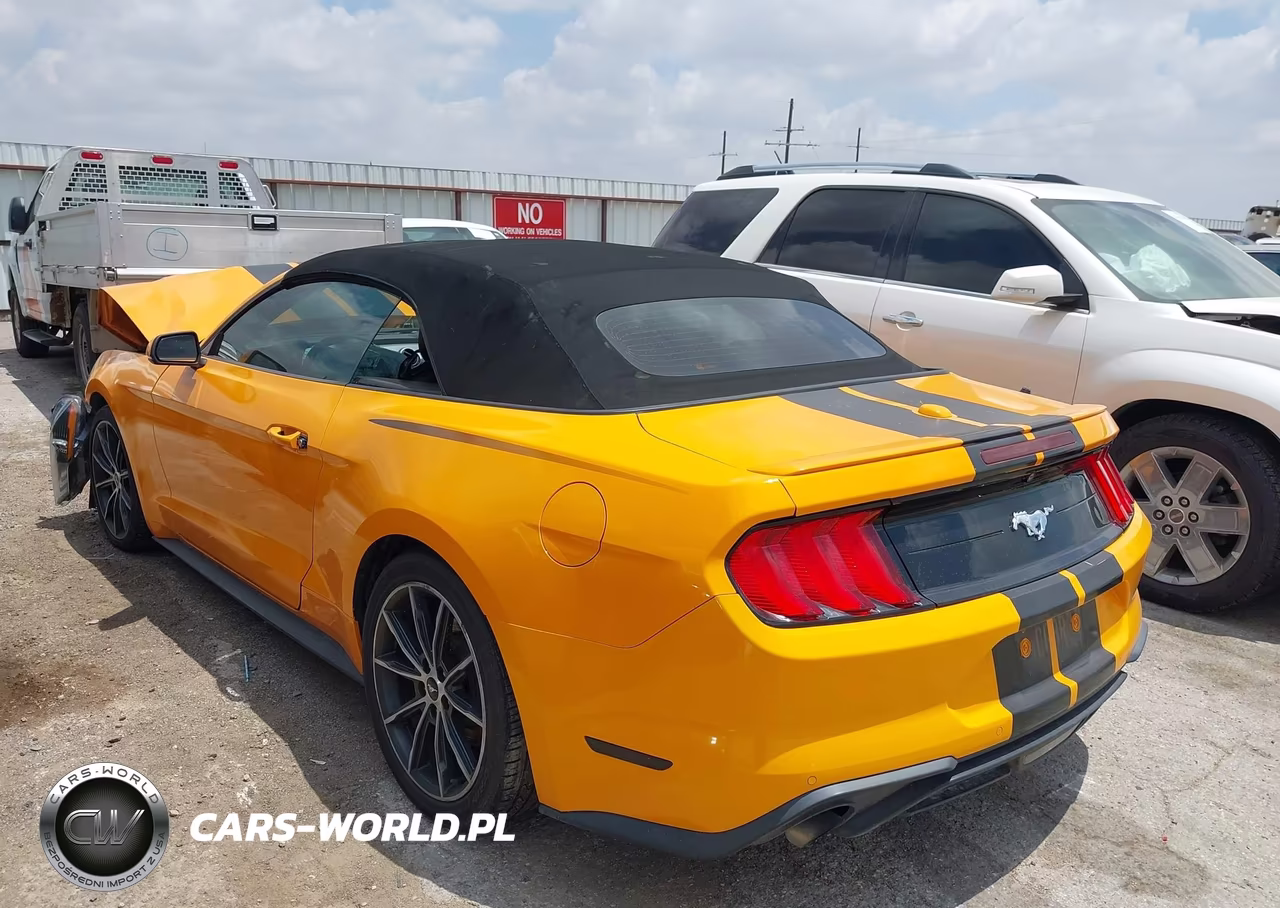 2019 Ford Mustang Ecoboost Premium VIN:1FATP8UH7K5150125 - 3