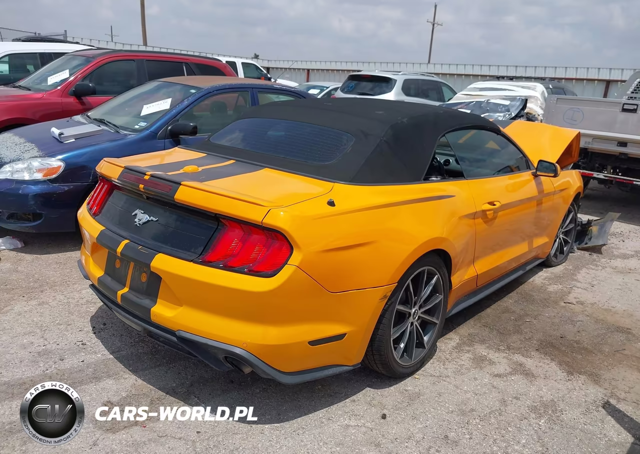 2019 Ford Mustang Ecoboost Premium VIN:1FATP8UH7K5150125 - 4