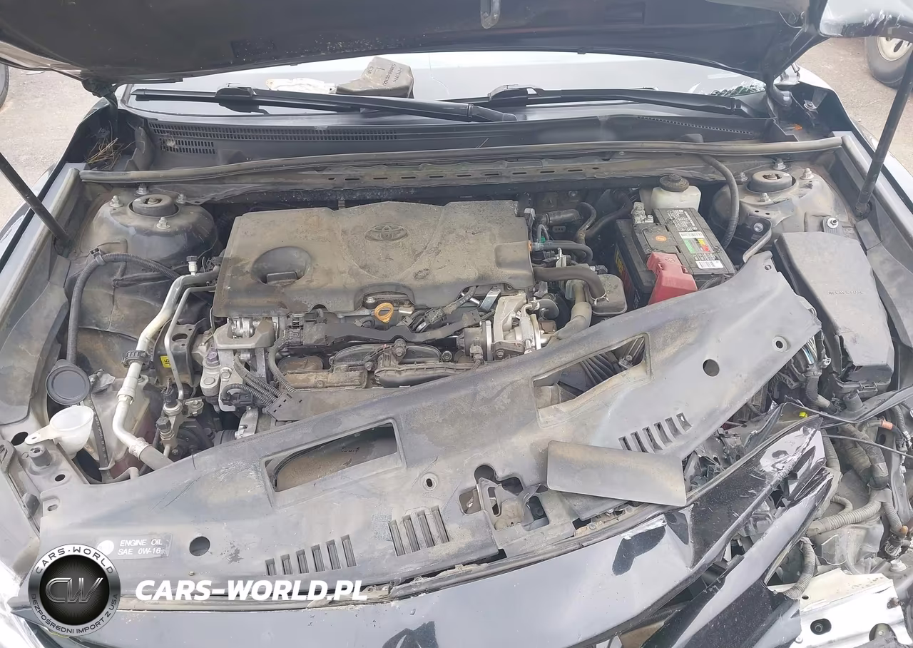 2020 Toyota Camry Le VIN:4T1C11AK3LU506205 - 10