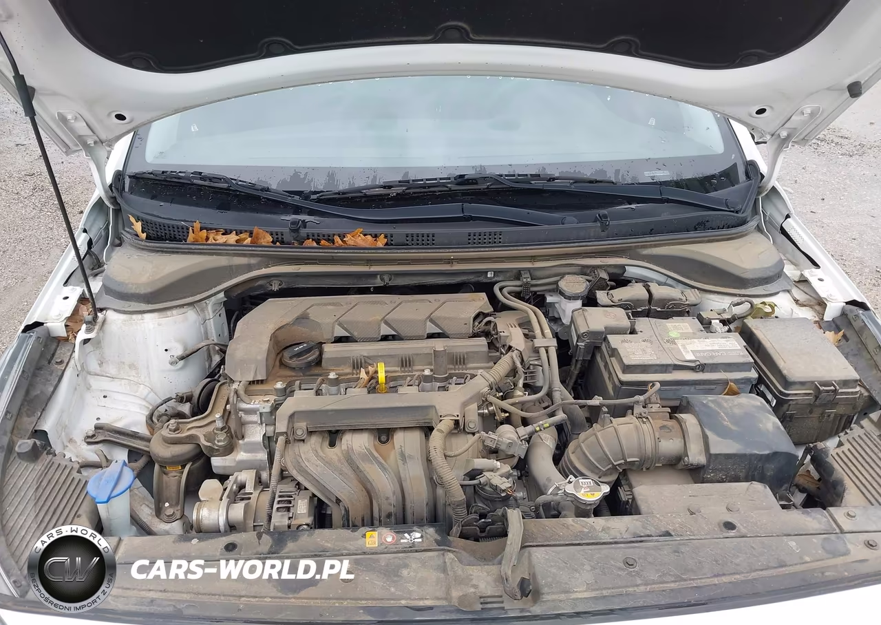 2020 Hyundai Accent Se VIN:3KPC24A67LE106975 - 10