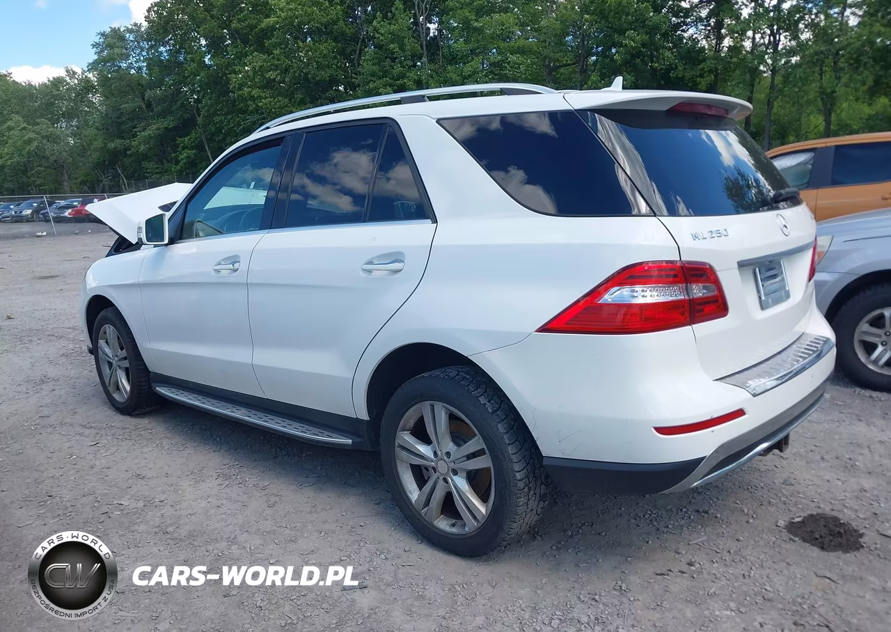 2015 Mercedes-Benz Ml 250 Bluetec 4Matic VIN:4JGDA0EBXFA533531 - 3