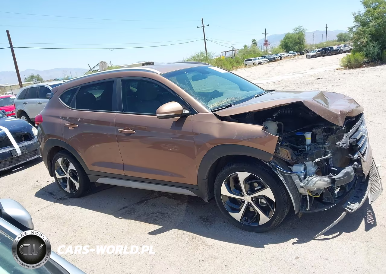 2017 Hyundai Tucson Sport VIN:KM8J33A28HU461167 - 14