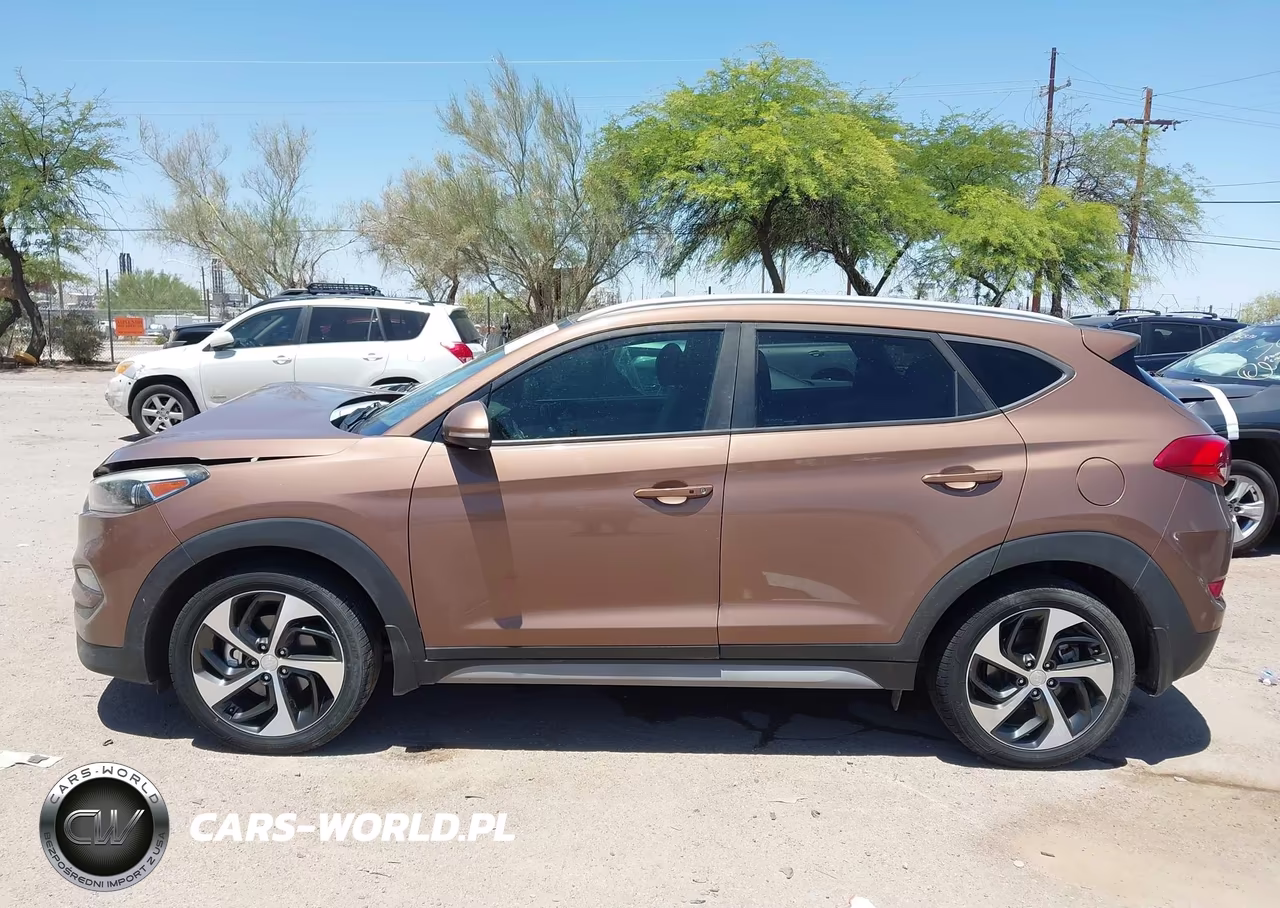 2017 Hyundai Tucson Sport VIN:KM8J33A28HU461167 - 15