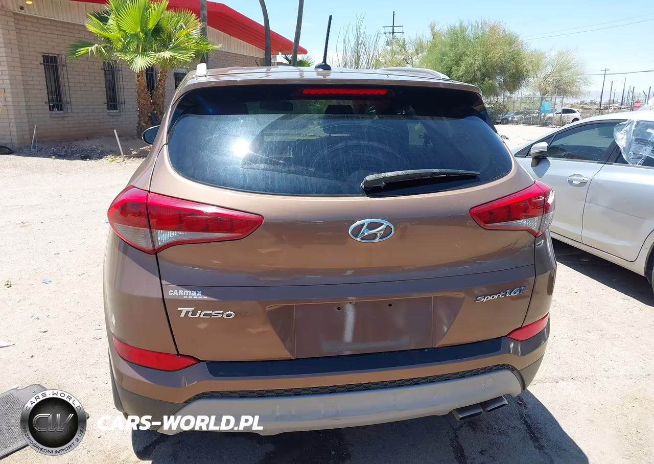2017 Hyundai Tucson Sport VIN:KM8J33A28HU461167 - 17