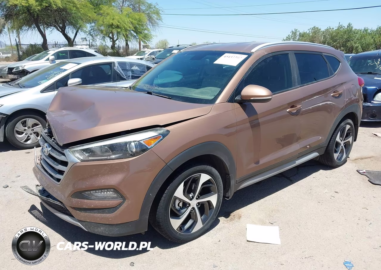 2017 Hyundai Tucson Sport VIN:KM8J33A28HU461167 - 2