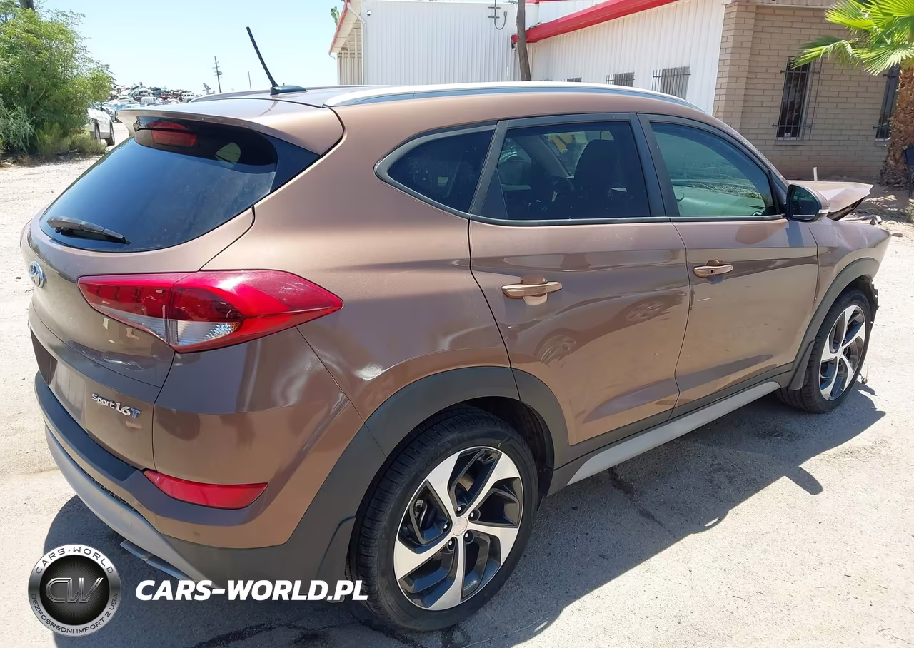 2017 Hyundai Tucson Sport VIN:KM8J33A28HU461167 - 4