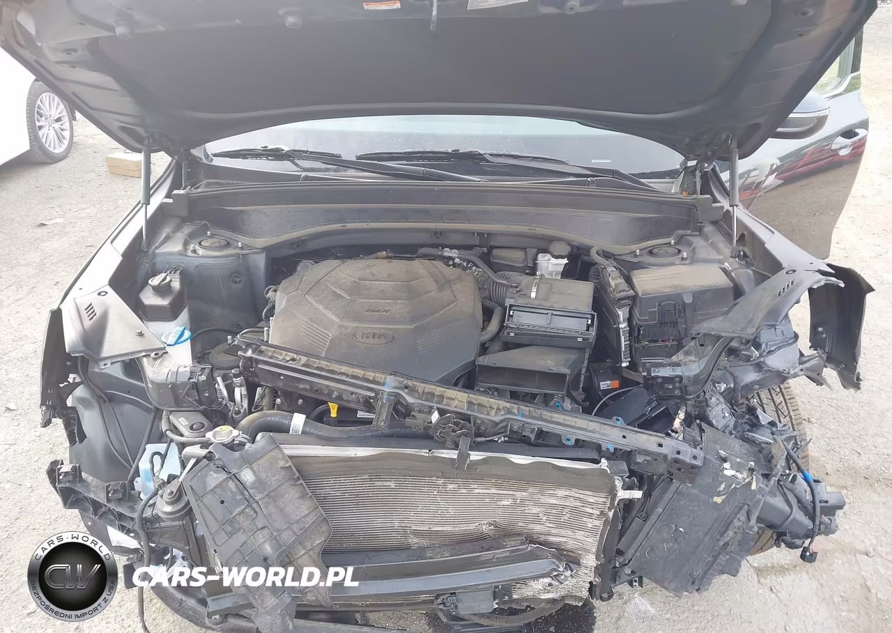 2020 Kia Telluride Ex VIN:5XYP3DHC3LG068481 - 10