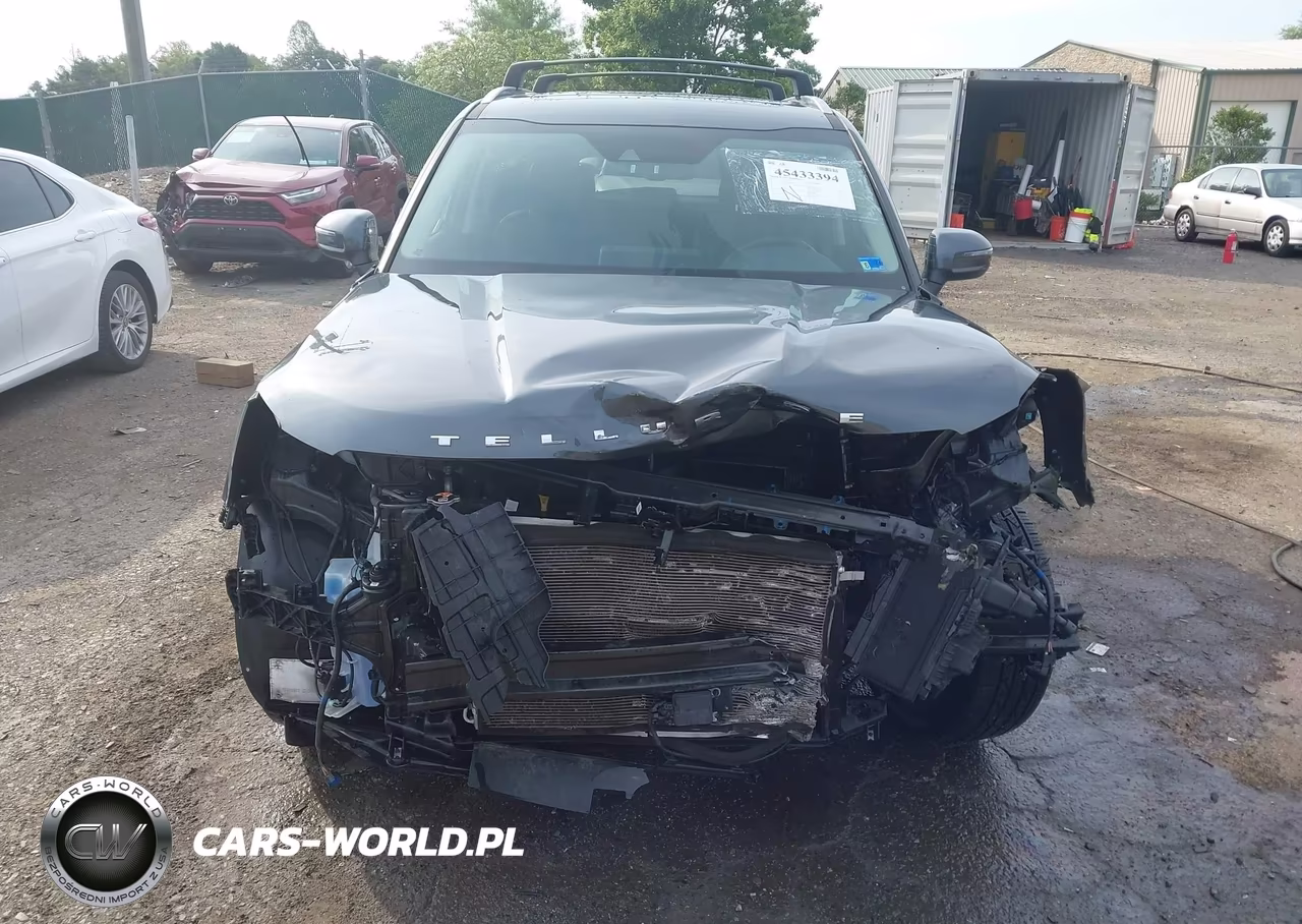2020 Kia Telluride Ex VIN:5XYP3DHC3LG068481 - 13
