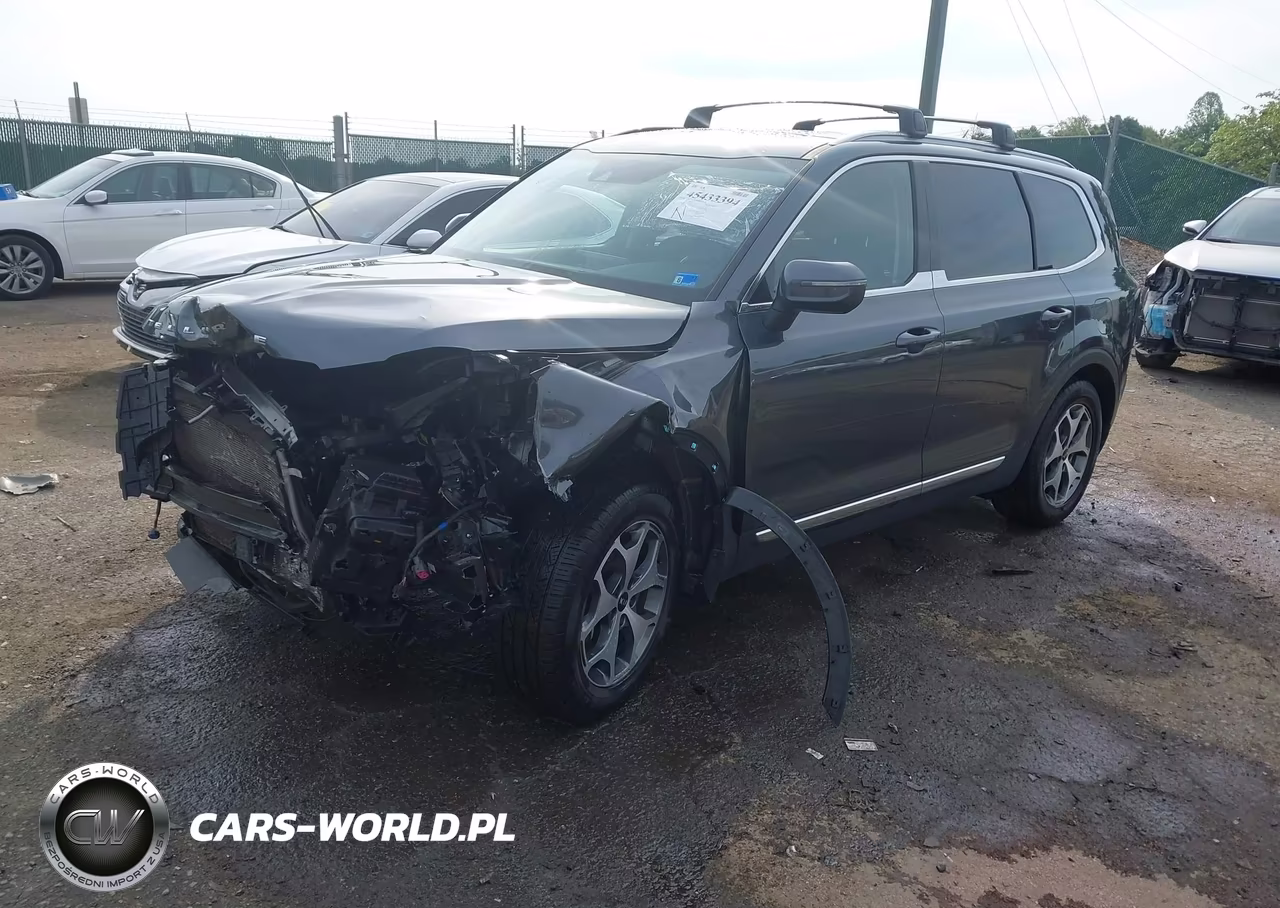 2020 Kia Telluride Ex VIN:5XYP3DHC3LG068481 - 2