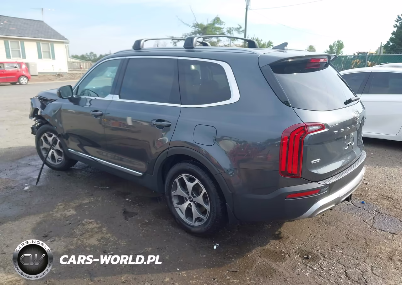 2020 Kia Telluride Ex VIN:5XYP3DHC3LG068481 - 3