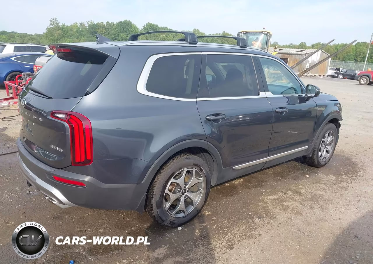 2020 Kia Telluride Ex VIN:5XYP3DHC3LG068481 - 4