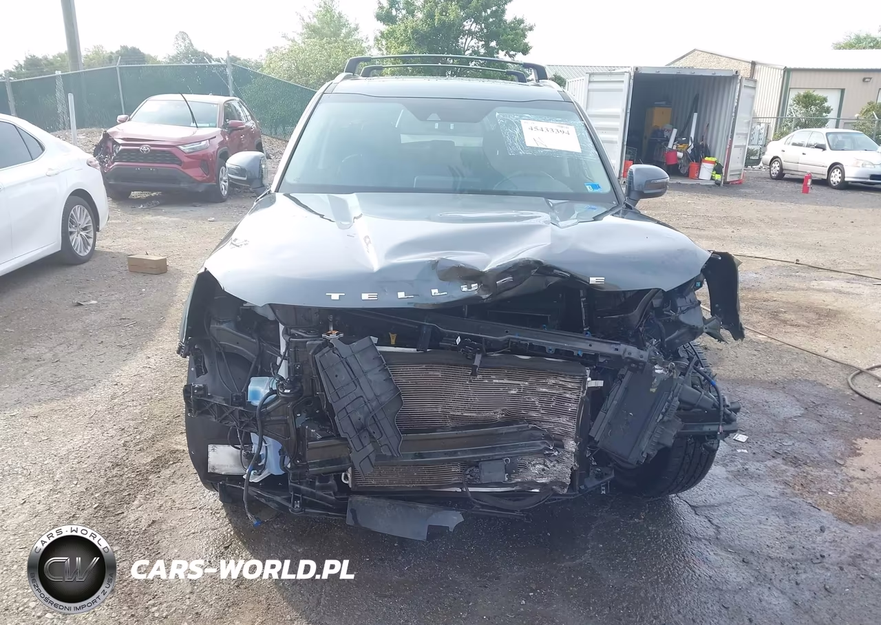 2020 Kia Telluride Ex VIN:5XYP3DHC3LG068481 - 6