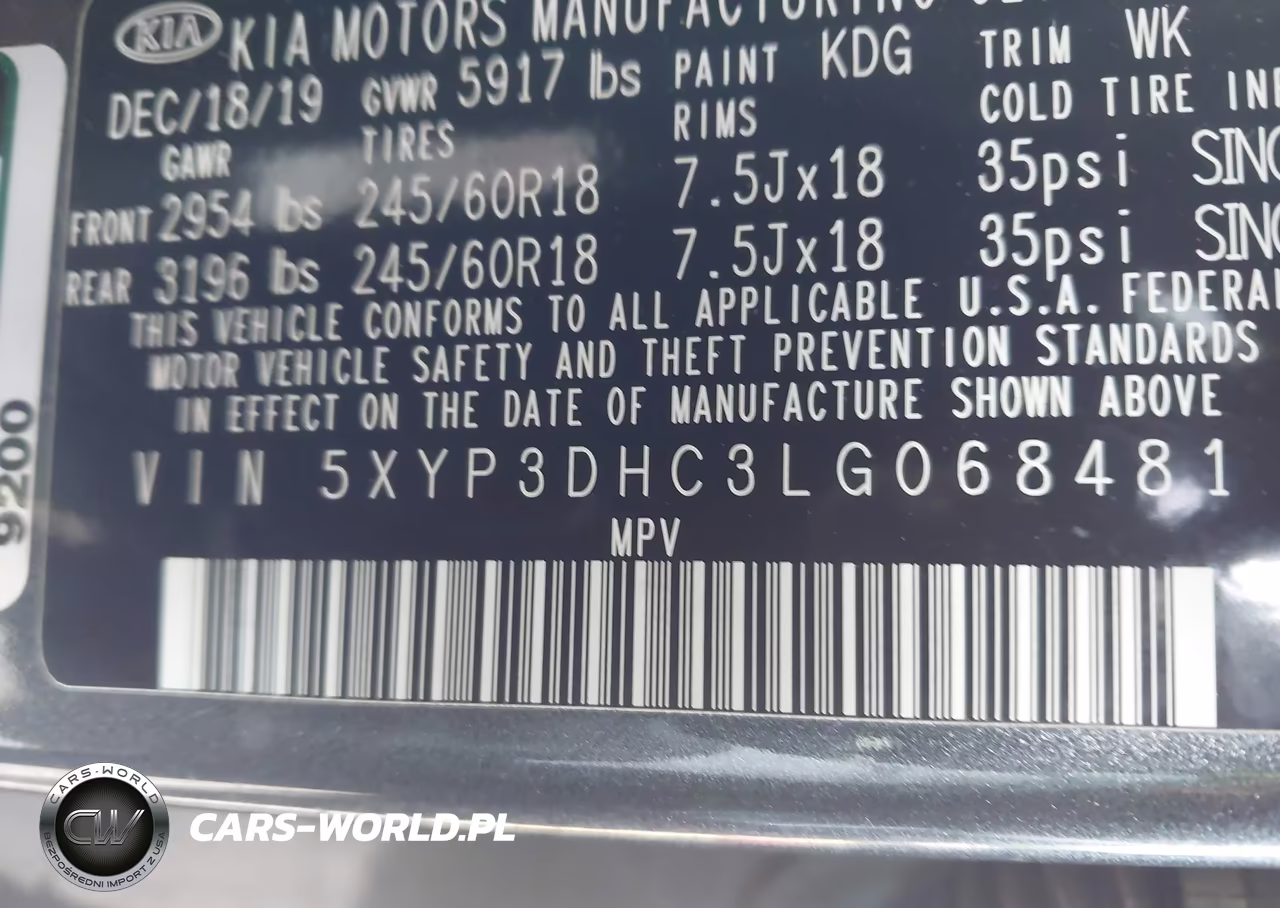 2020 Kia Telluride Ex VIN:5XYP3DHC3LG068481 - 9
