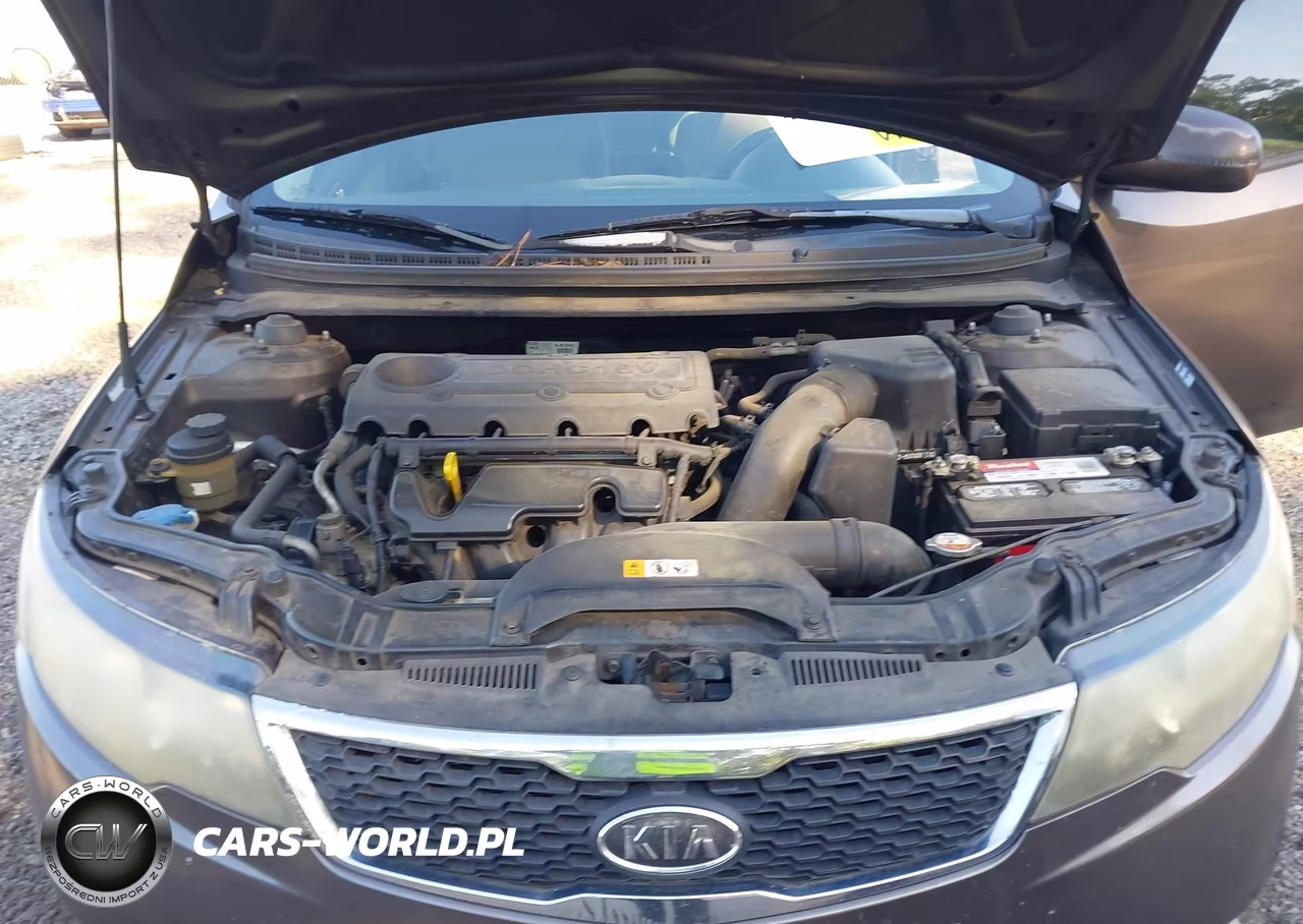 2013 Kia Forte Ex VIN:KNAFU4A29D5735894 - 10