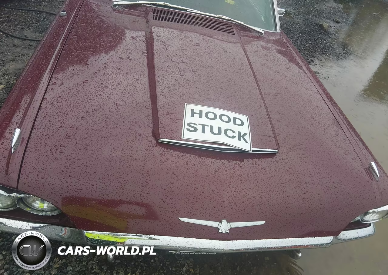 1965 Ford Thunderbird VIN:5Y87Z160808 - 10
