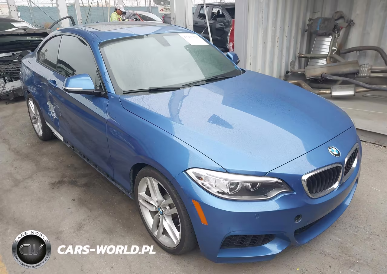 2015 BMW 228I