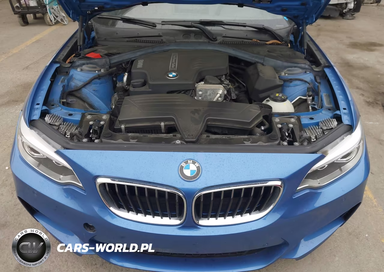2015 BMW 228I VIN:WBA1F5C55FV256912 - 10