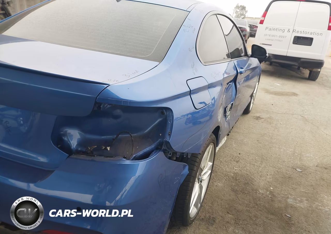 2015 BMW 228I VIN:WBA1F5C55FV256912 - 13