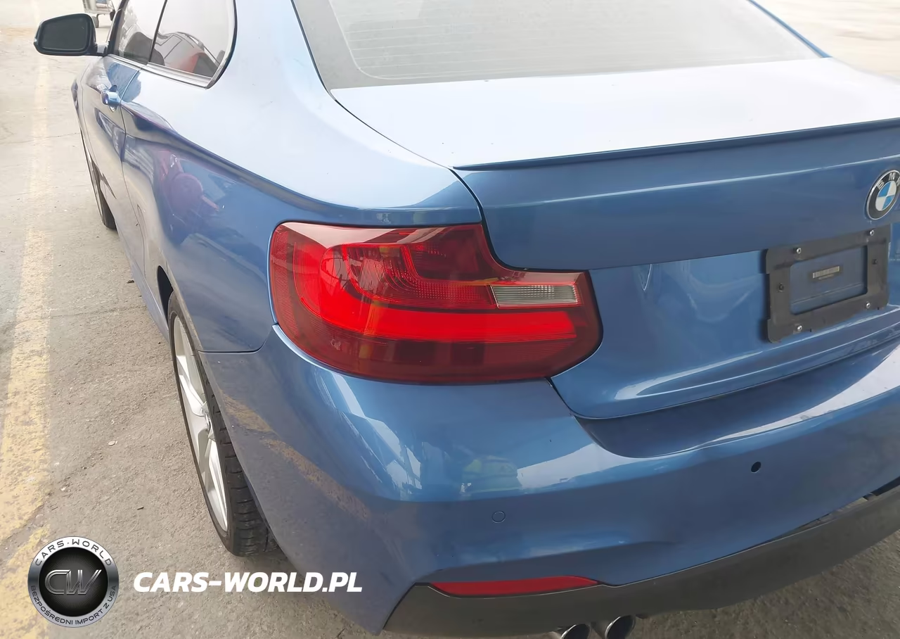 2015 BMW 228I VIN:WBA1F5C55FV256912 - 14
