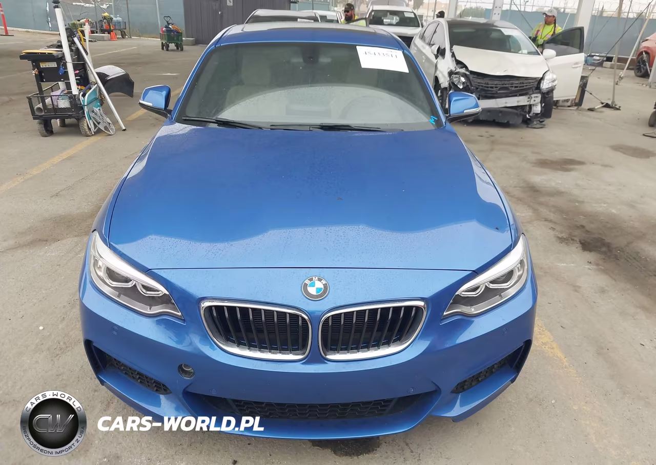 2015 BMW 228I VIN:WBA1F5C55FV256912 - 17