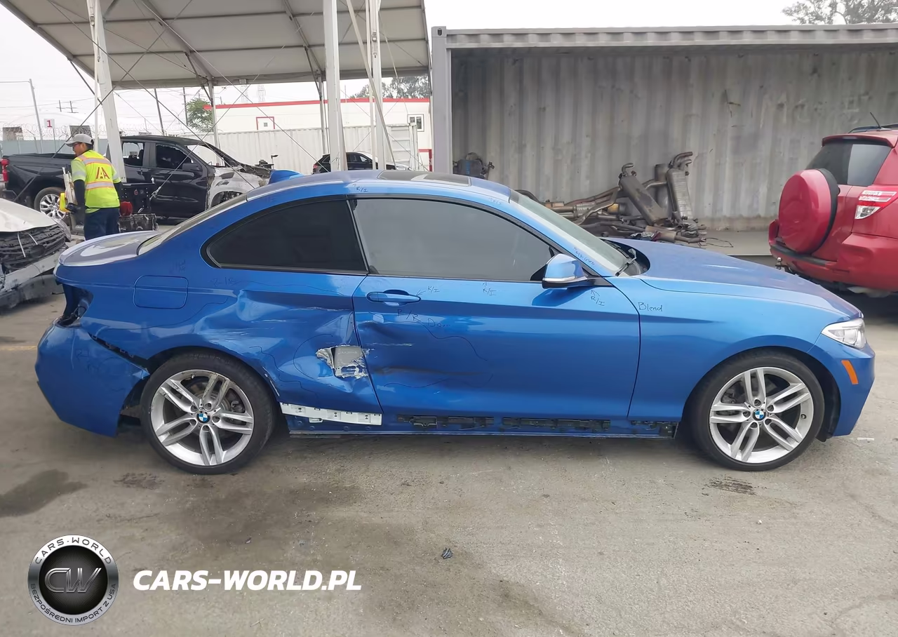 2015 BMW 228I VIN:WBA1F5C55FV256912 - 18