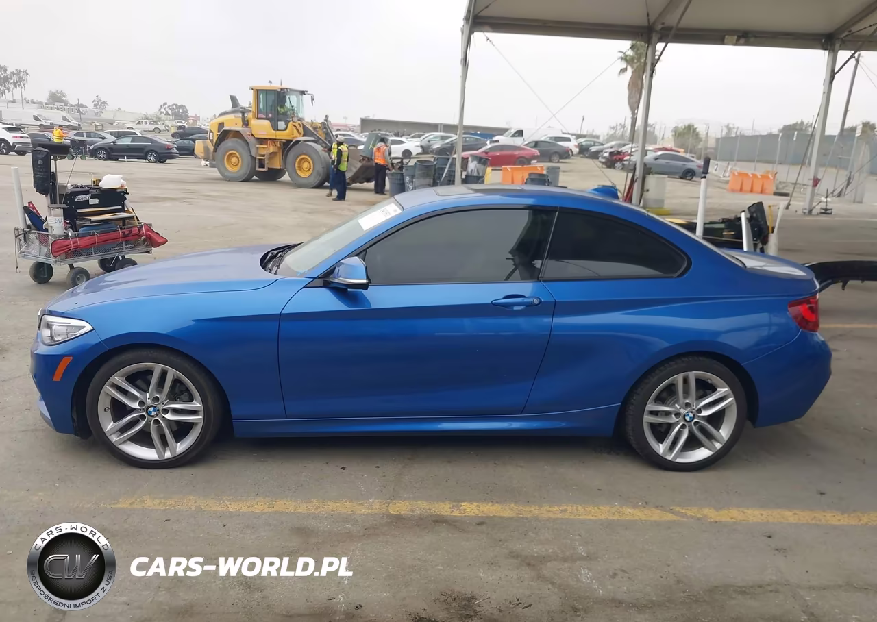 2015 BMW 228I VIN:WBA1F5C55FV256912 - 19