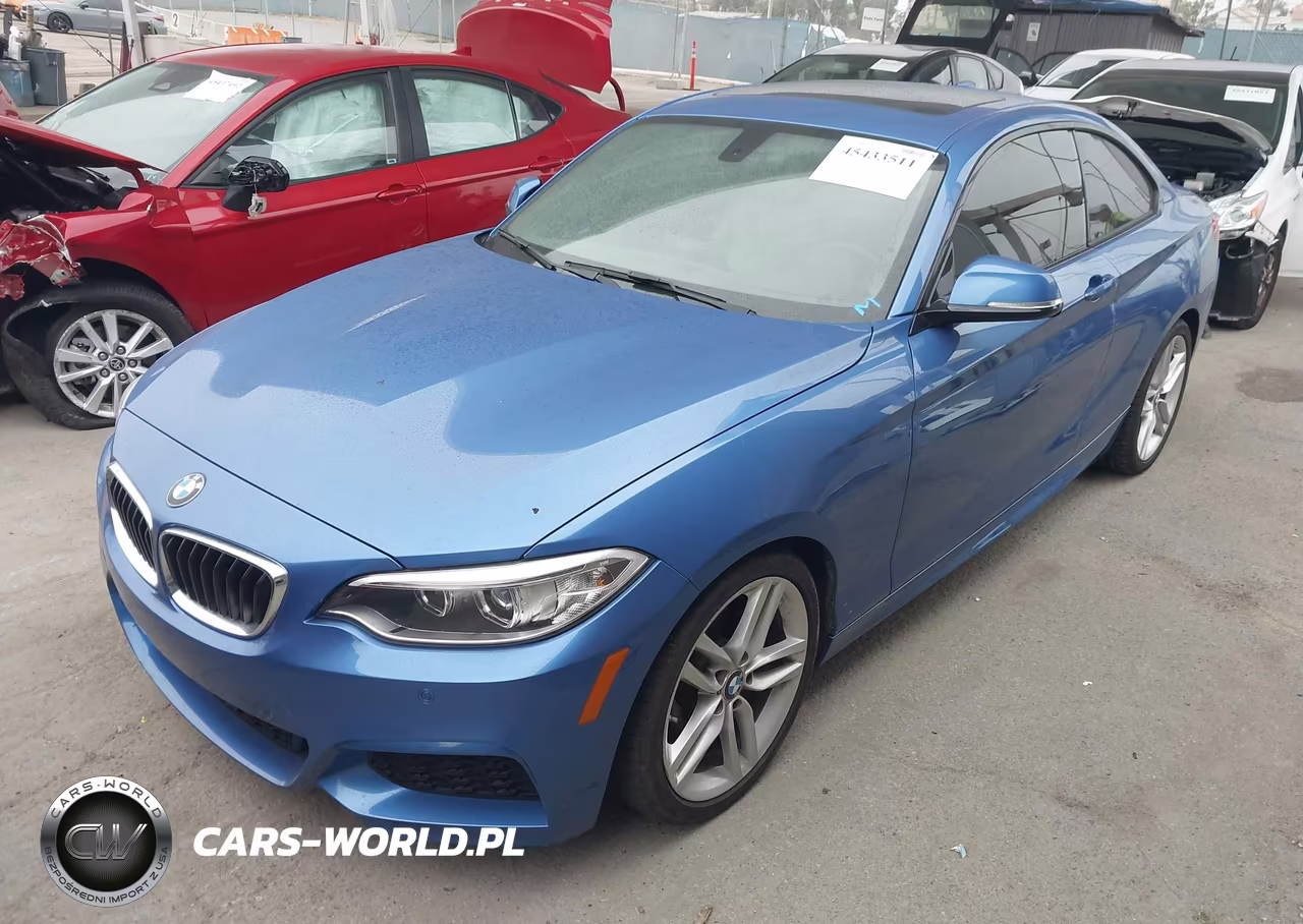 2015 BMW 228I VIN:WBA1F5C55FV256912 - 2