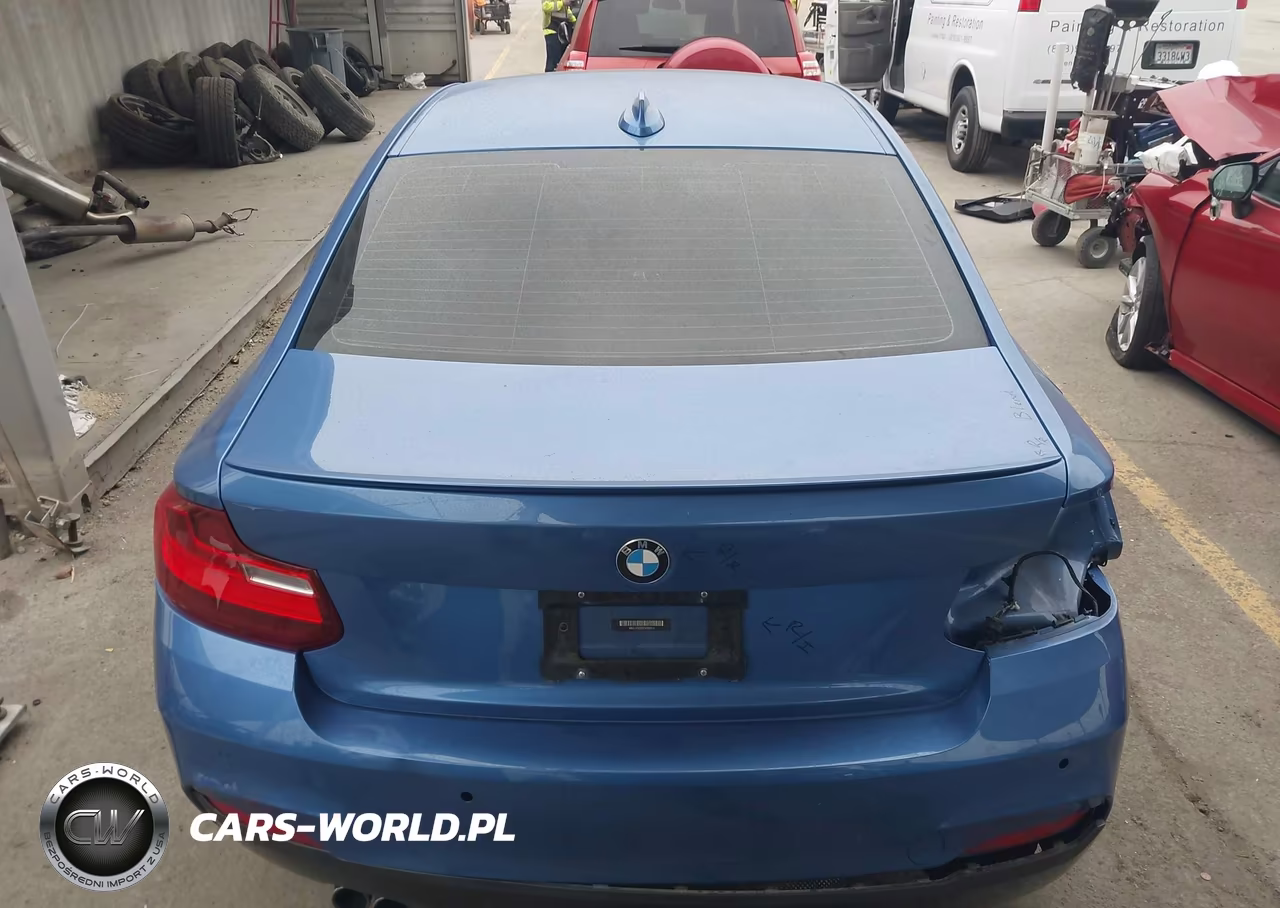 2015 BMW 228I VIN:WBA1F5C55FV256912 - 21
