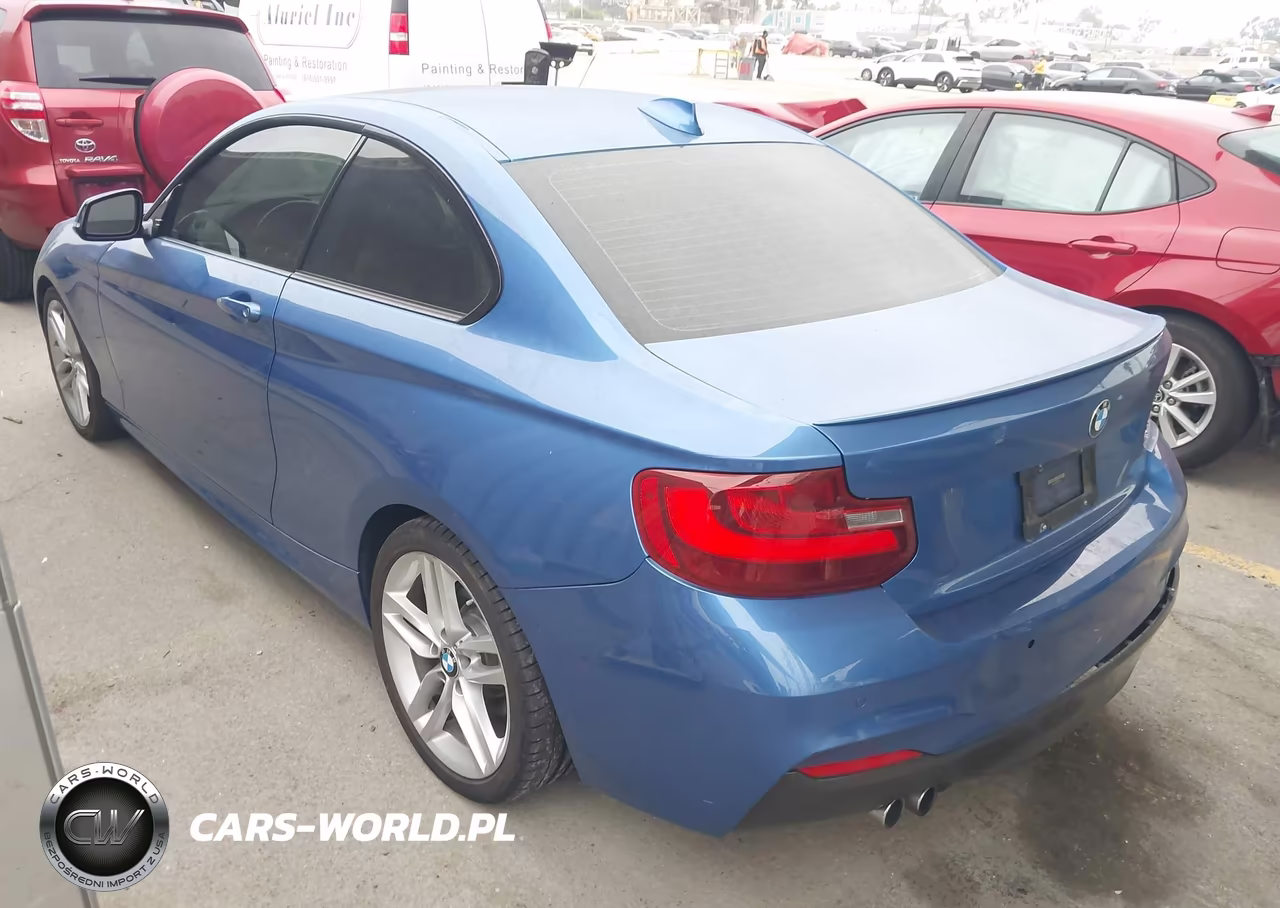 2015 BMW 228I VIN:WBA1F5C55FV256912 - 3