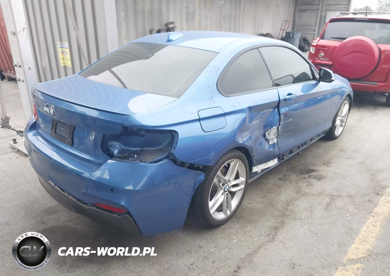 2015 BMW 228I VIN:WBA1F5C55FV256912 - 4