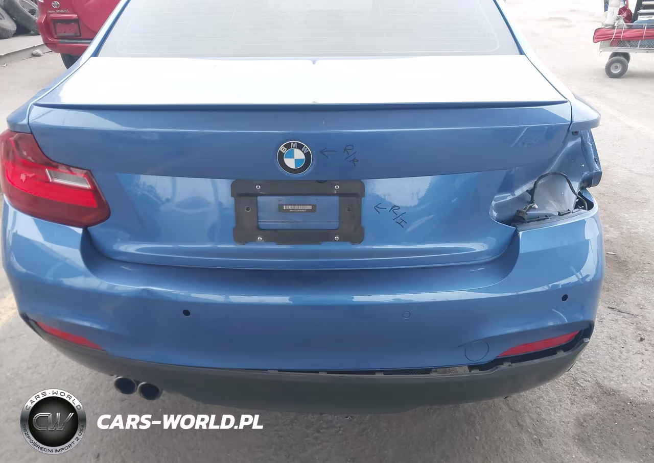 2015 BMW 228I VIN:WBA1F5C55FV256912 - 6
