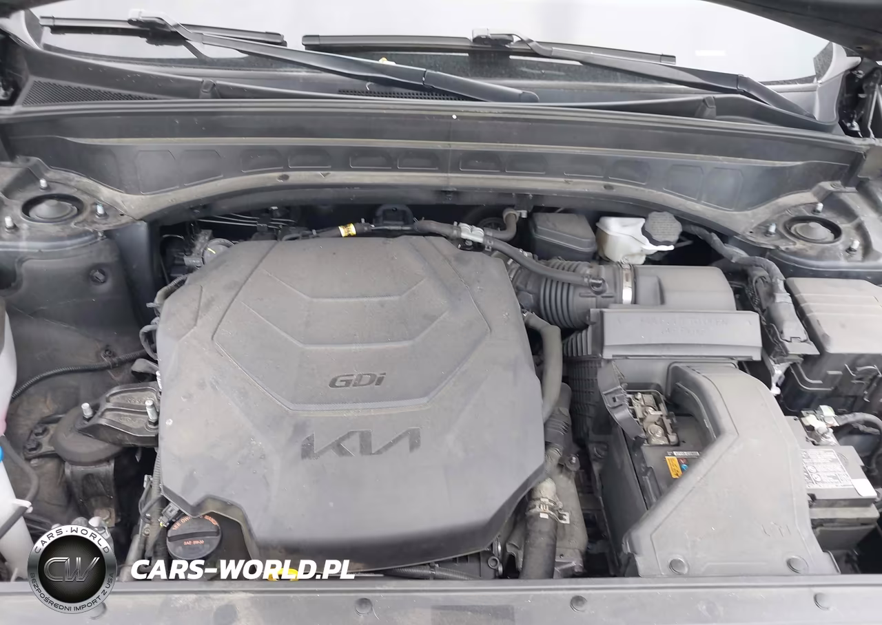 2022 Kia Telluride Ex VIN:5XYP34HC7NG251823 - 10