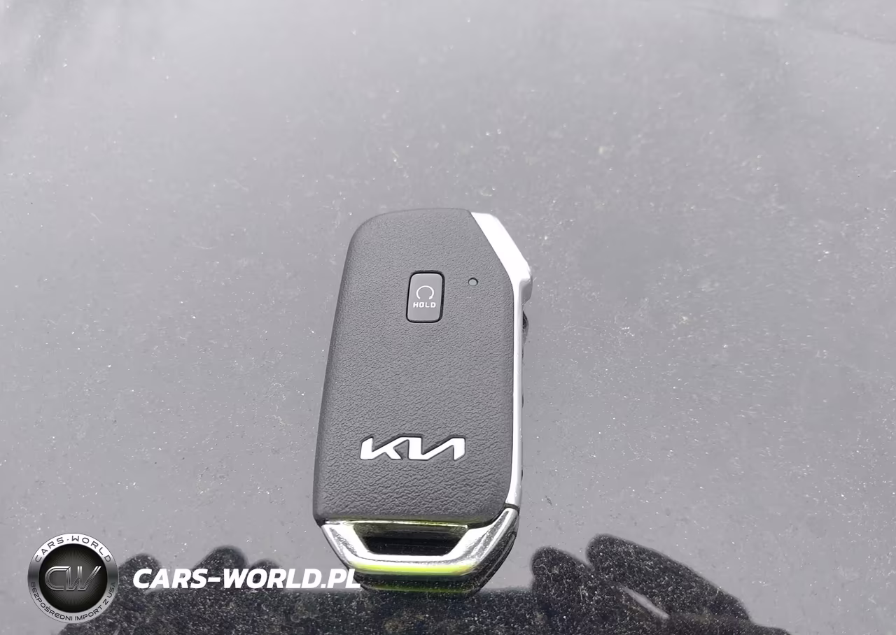 2022 Kia Telluride Ex VIN:5XYP34HC7NG251823 - 11