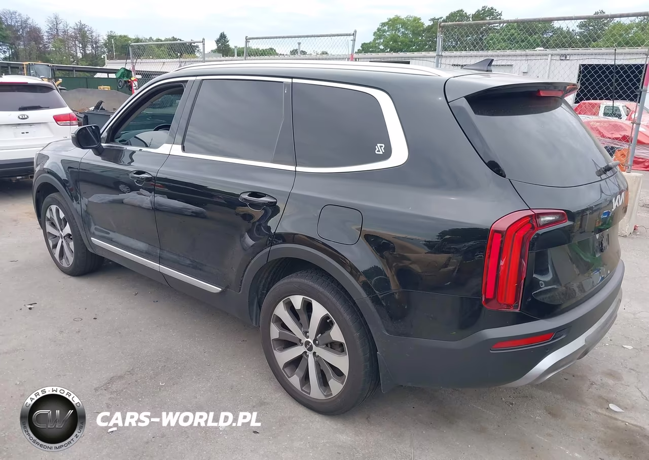 2022 Kia Telluride Ex VIN:5XYP34HC7NG251823 - 3