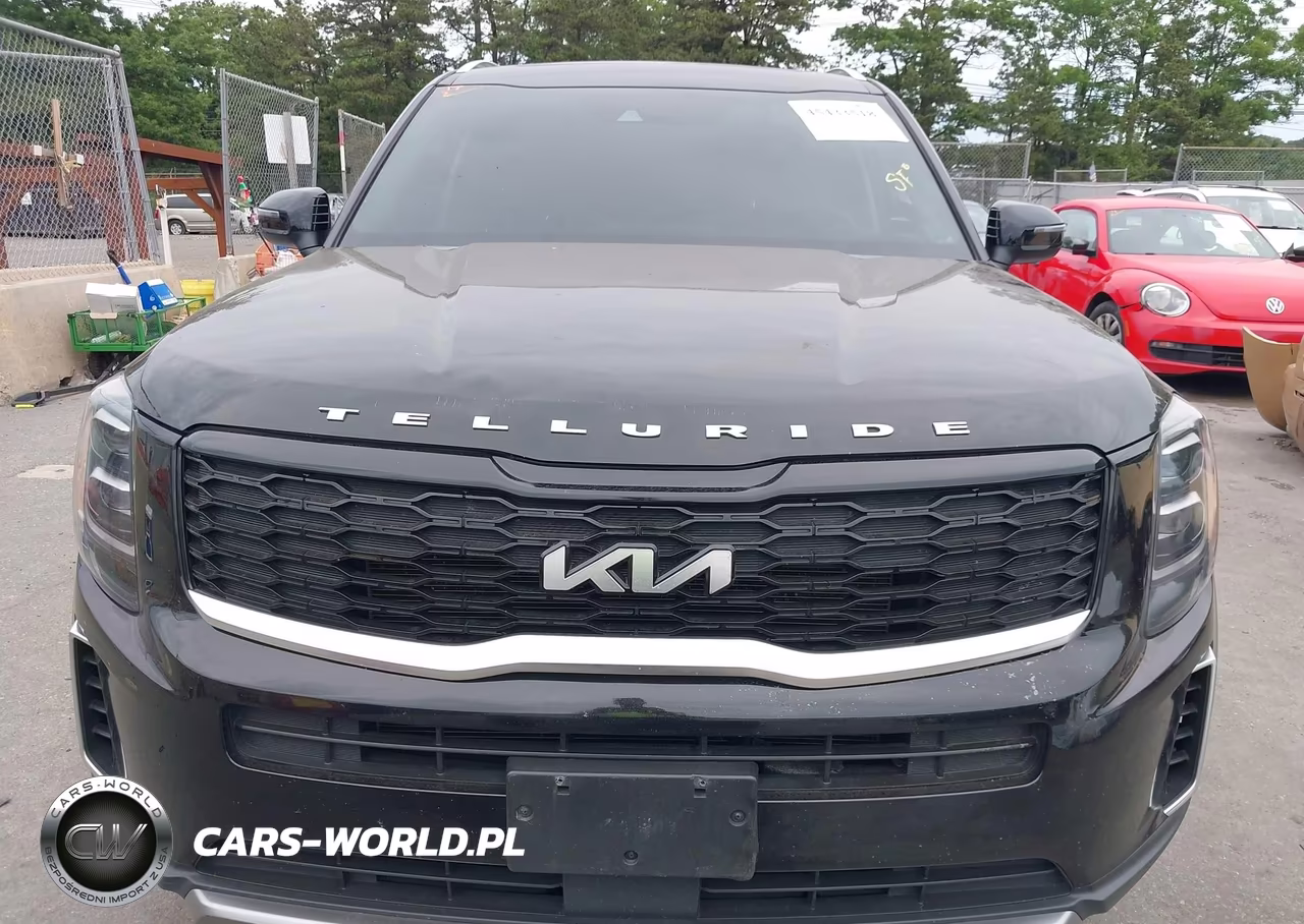 2022 Kia Telluride Ex VIN:5XYP34HC7NG251823 - 6